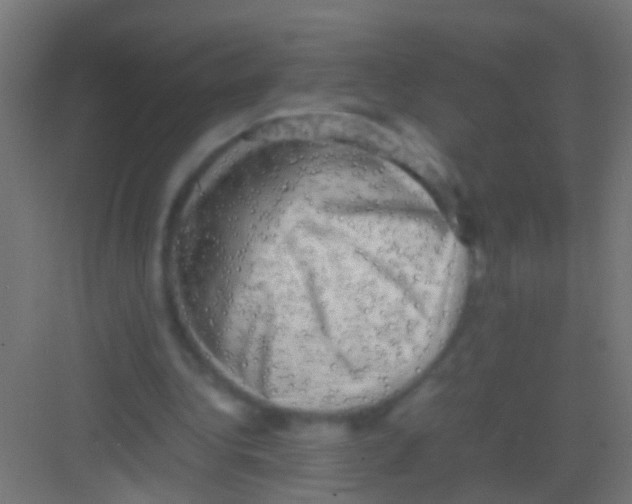 X0000081390340200702090043