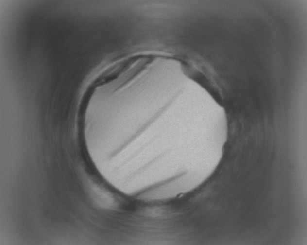 X0000081390344200702090043