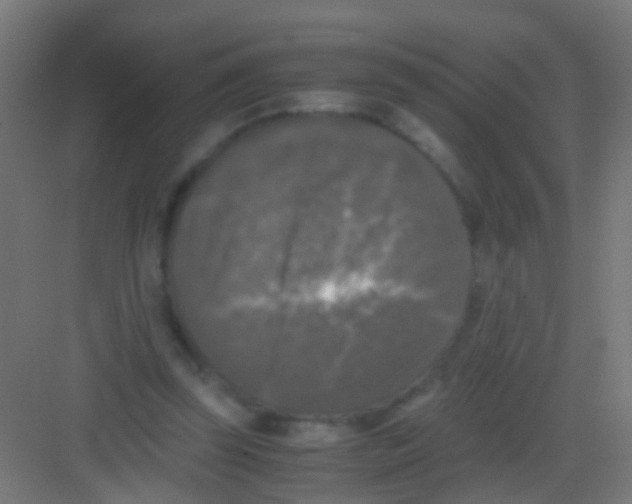 X0000081390347200702090043