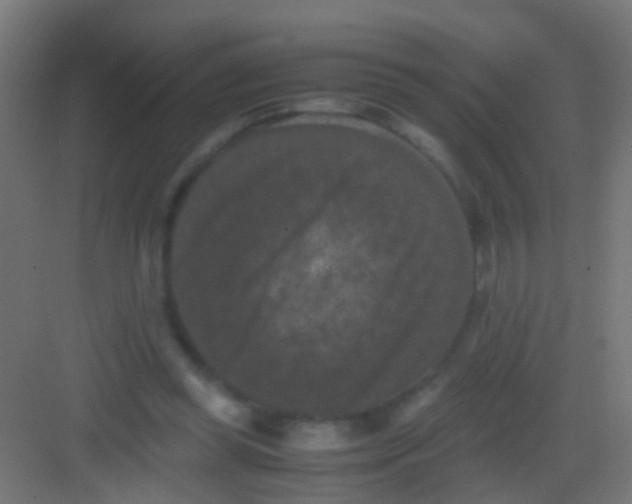 X0000081390349200702090043