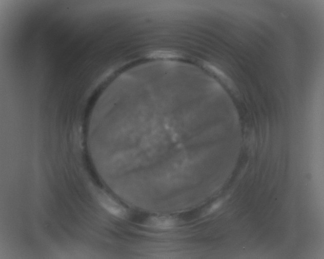 X0000081390351200702090044