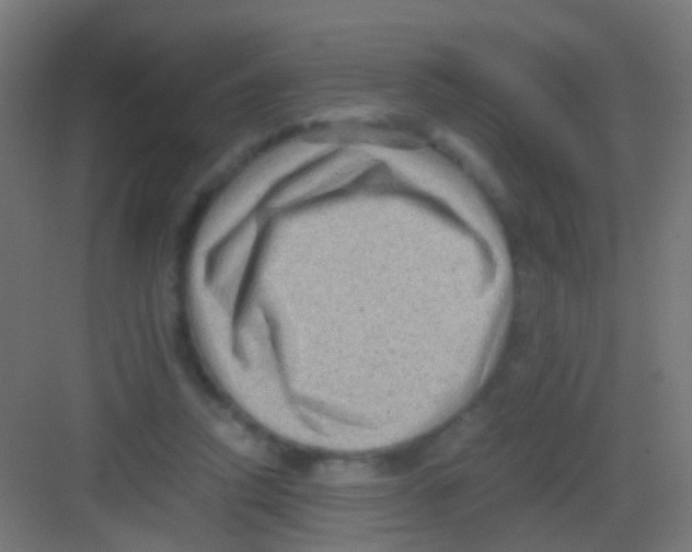 X0000081390354200702090044