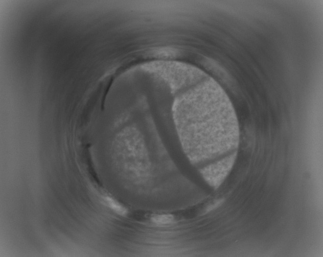 X0000081390355200702090044