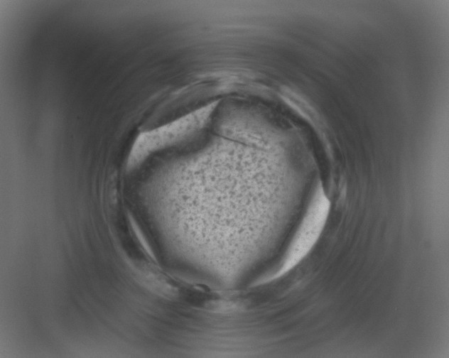 X0000081390356200702090044