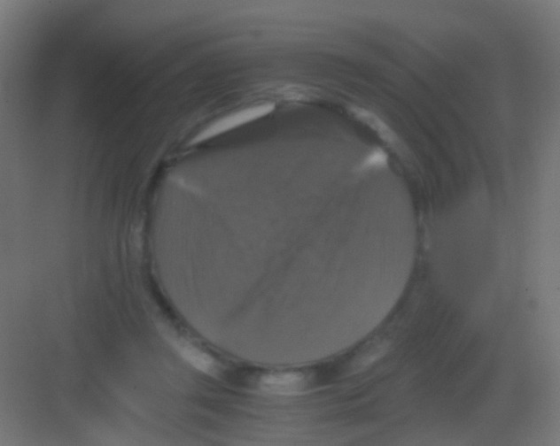 X0000081390357200702090044