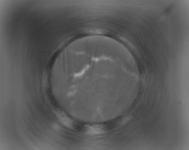 X0000081390359200702090044