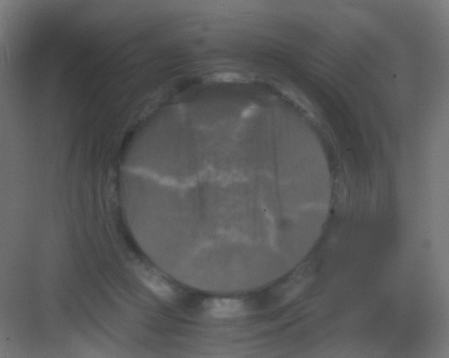 X0000081390361200702090044