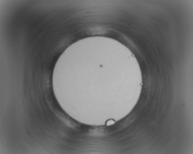 X0000081390362200702090044