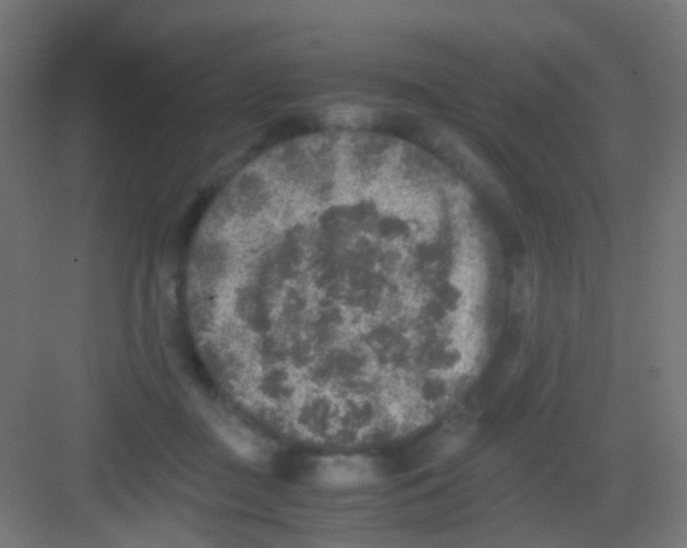 X0000081390363200702090044