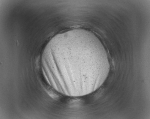 X0000081390364200702090044