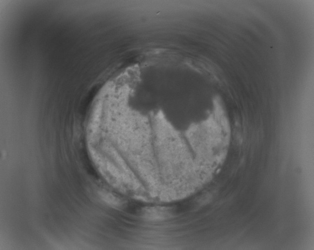 X0000081390367200702090044