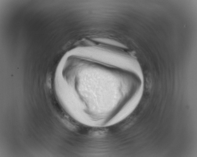 X0000081390368200702090044