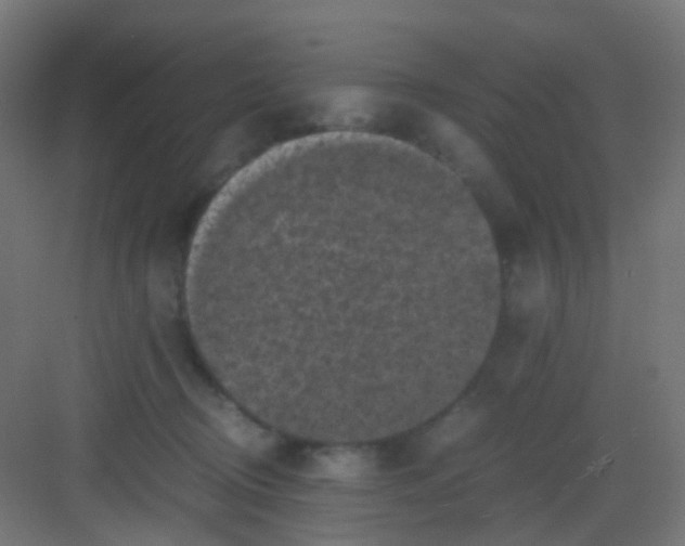 X0000081390370200702090044