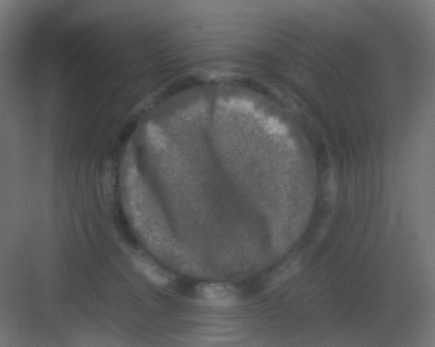 X0000081390372200702090044