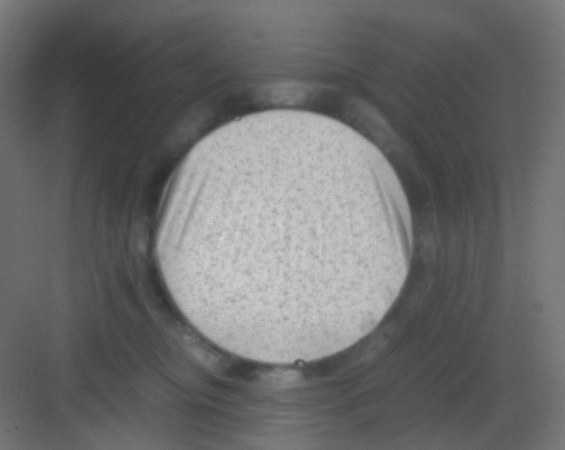 X0000081390374200702090044