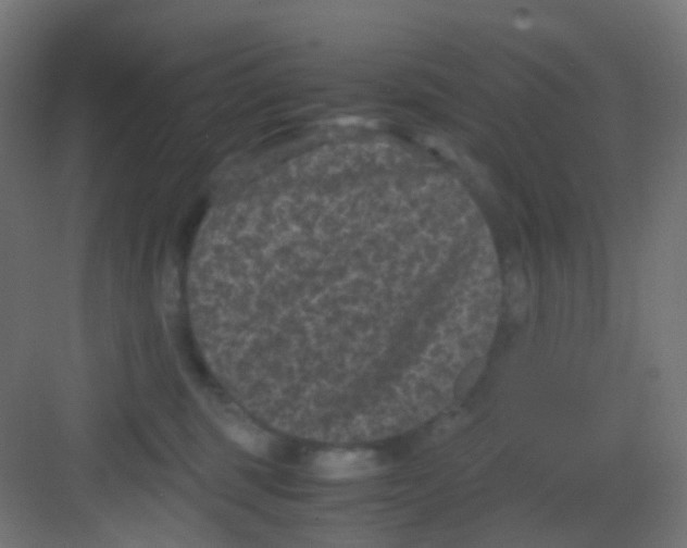 X0000081390375200702090044