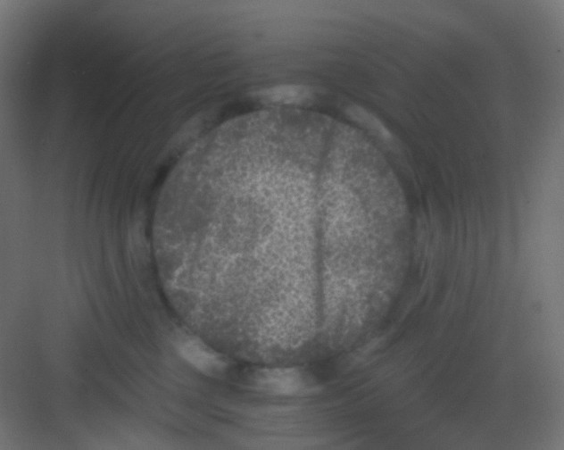 X0000081390377200702090044