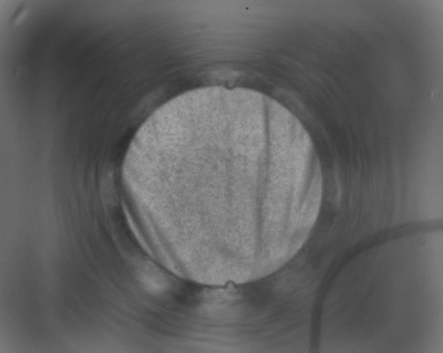 X0000081390378200702090044