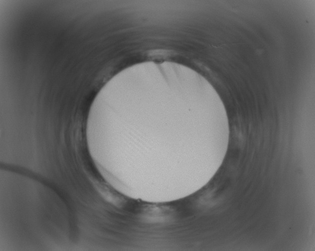 X0000081390379200702090044