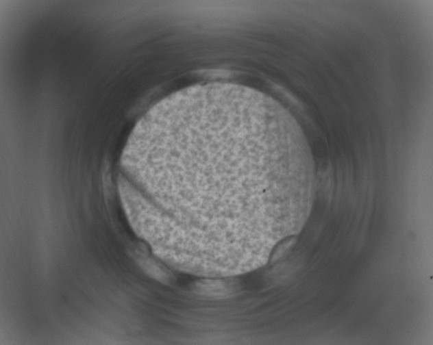 X0000081390381200702090044