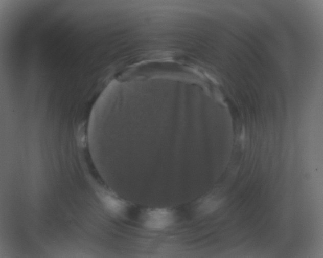 X0000081390383200702090044