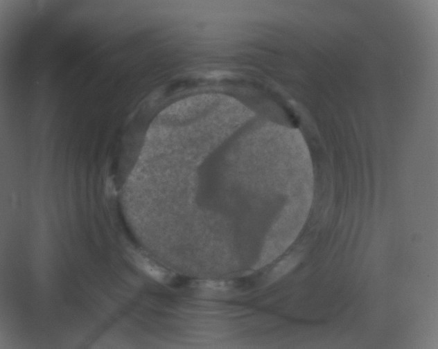 X0000081390384200702090044