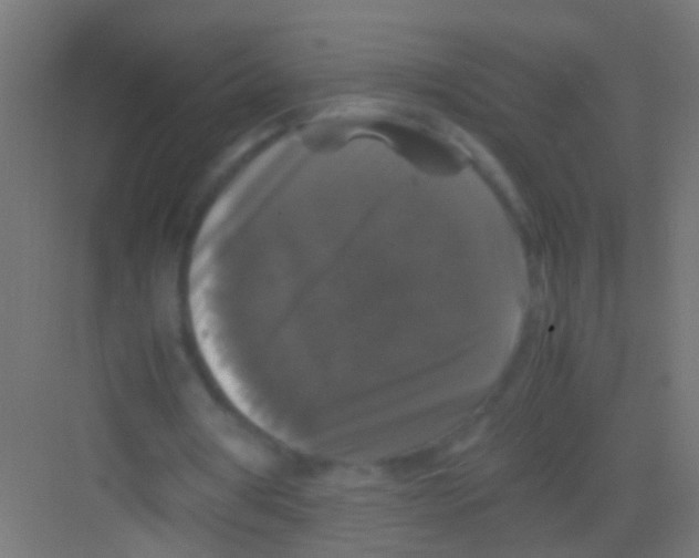 X0000081390386200702090043