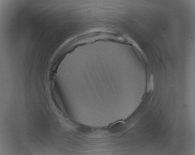 X0000081390387200702090043