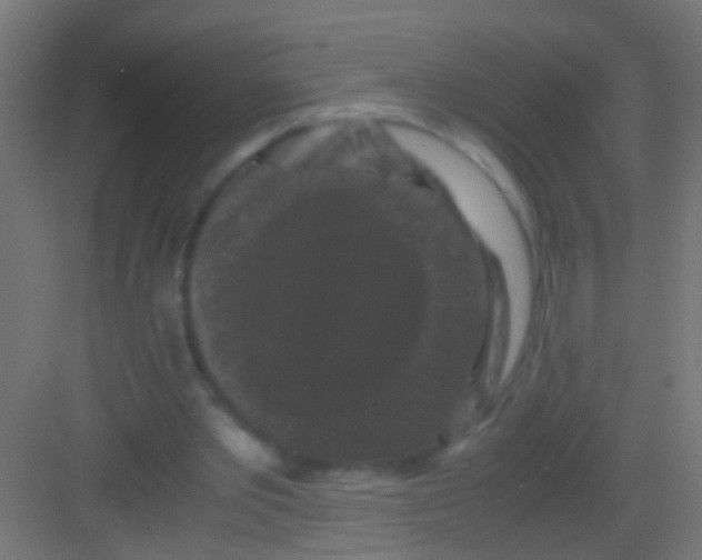 X0000081390389200702090043