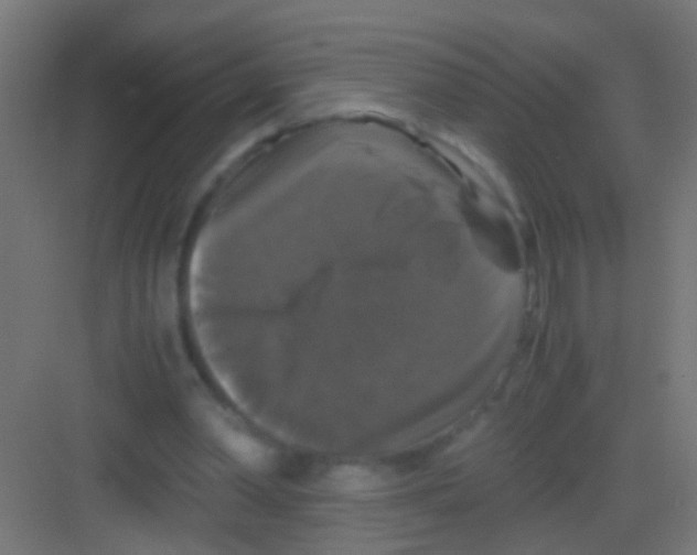 X0000081390390200702090043