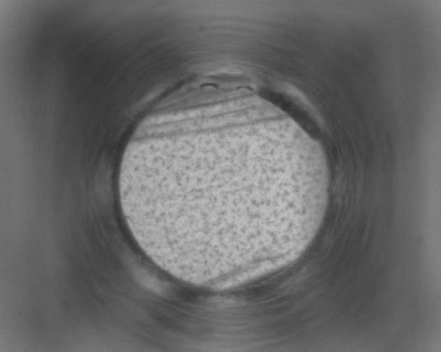 X0000081390394200702090043