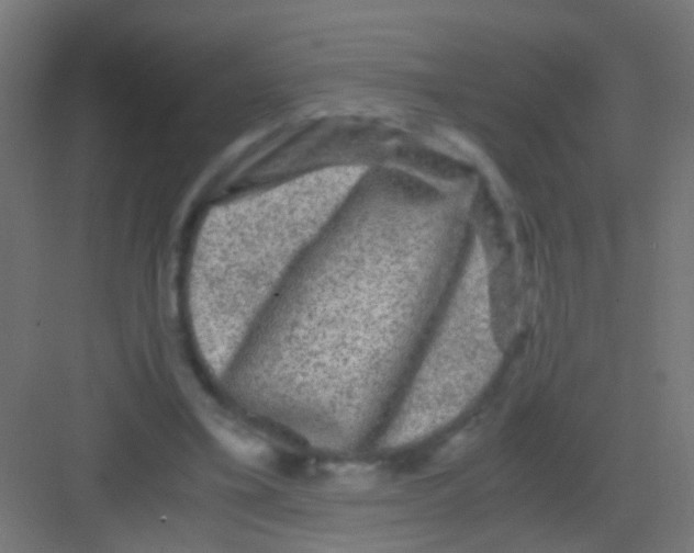 X0000081390395200702090043