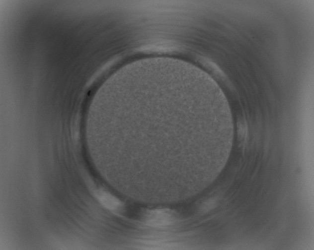 X0000081390396200702090043