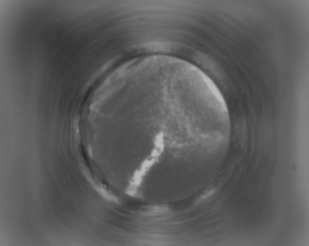 X0000081390398200702090043