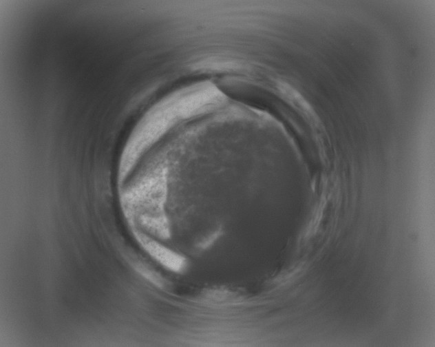 X0000081390399200702090043