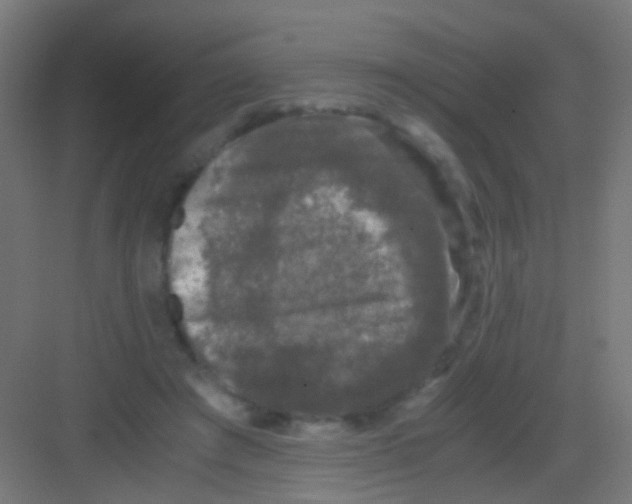 X0000081390401200702090043