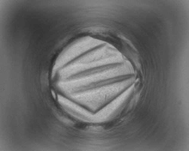 X0000081390403200702090043