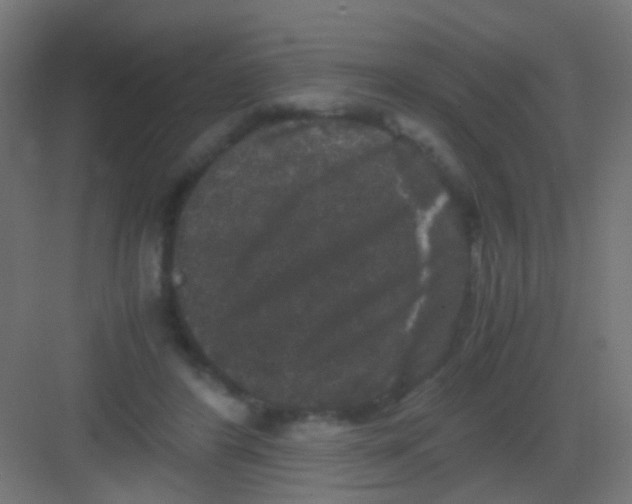 X0000081390404200702090043