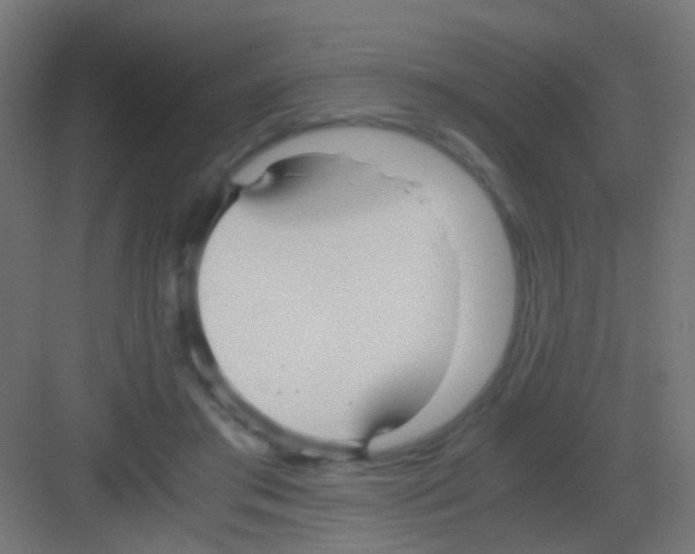 X0000081390405200702090043