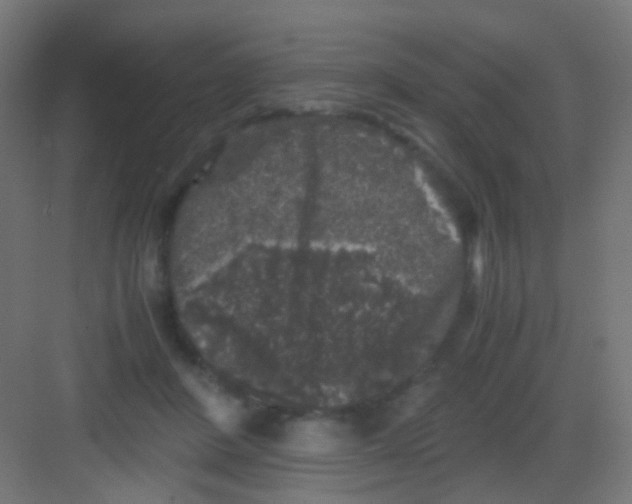 X0000081390408200702090043