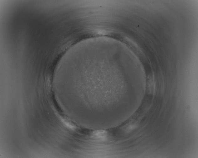 X0000081390410200702090043