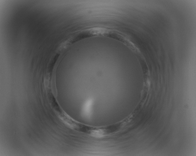 X0000081390411200702090043