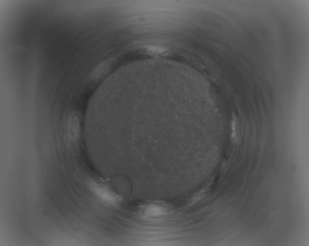 X0000081390412200702090043