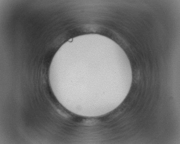 X0000081390414200702090043