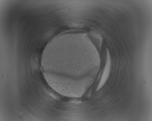 X0000081390416200702090043