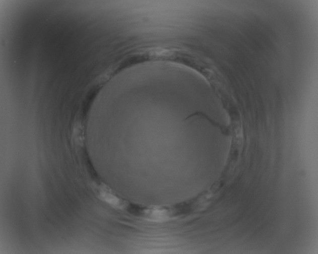 X0000081390419200702090043