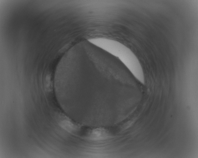 X0000081390420200702090043