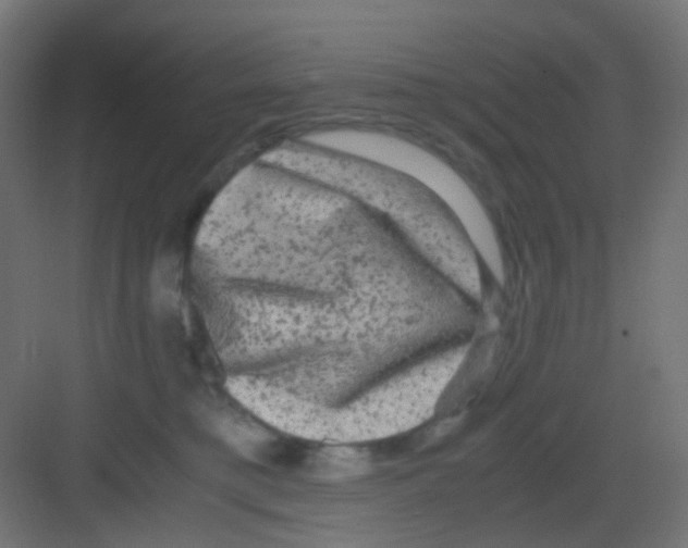 X0000081390421200702090043