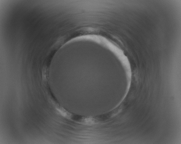 X0000081390423200702090043