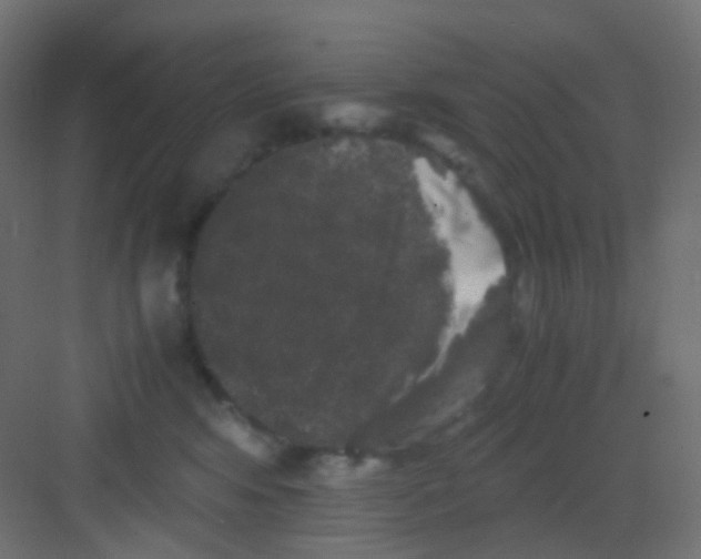 X0000081390424200702090043